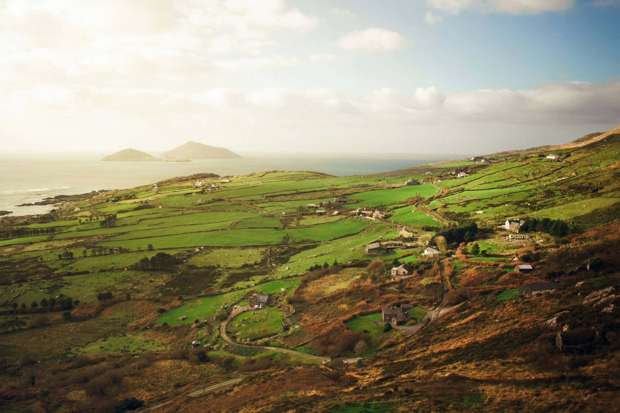 How to Rank Highest on Google My Business in Kerry