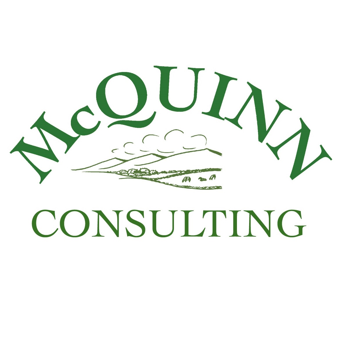 McQuinn Consulting