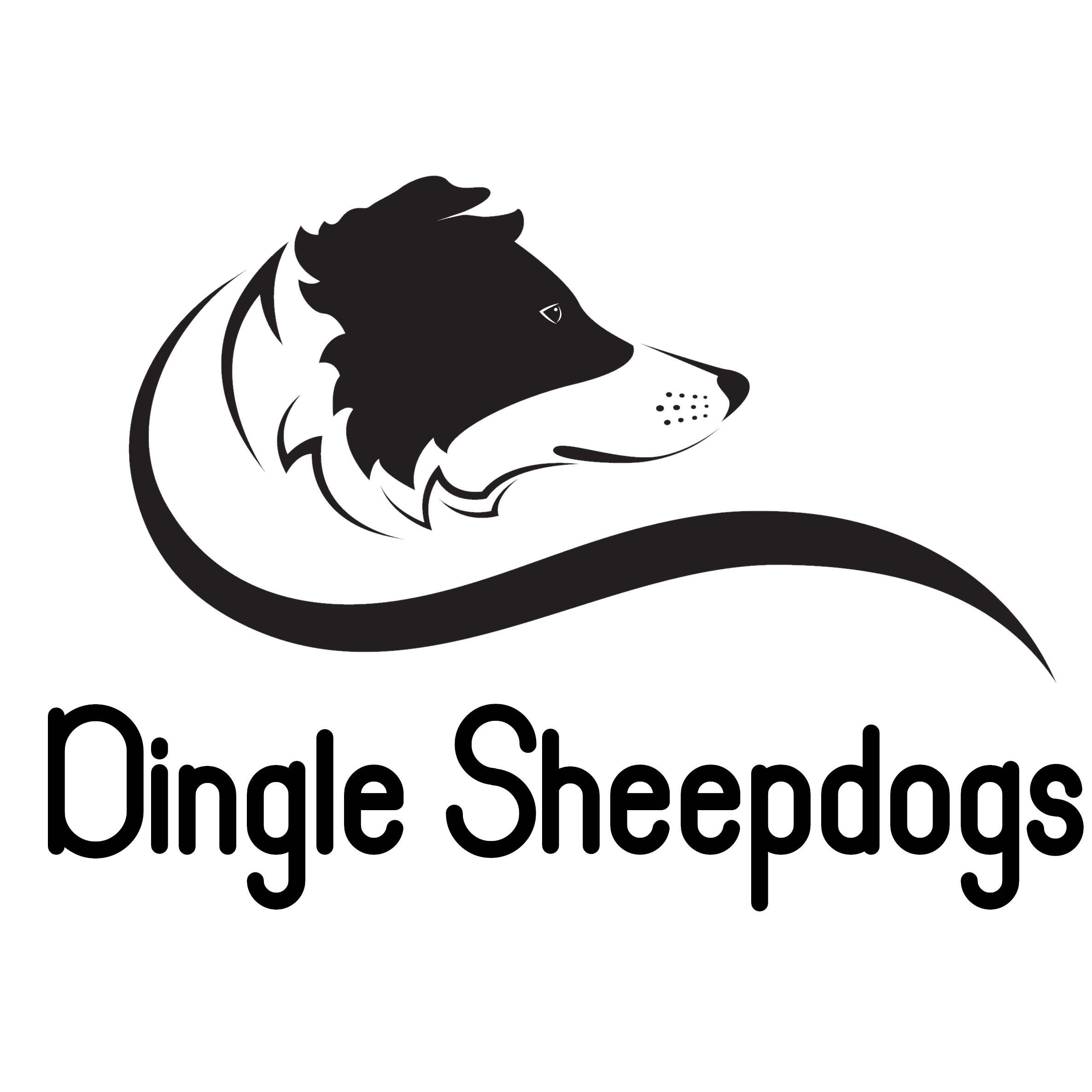 Dingle Sheepdogs