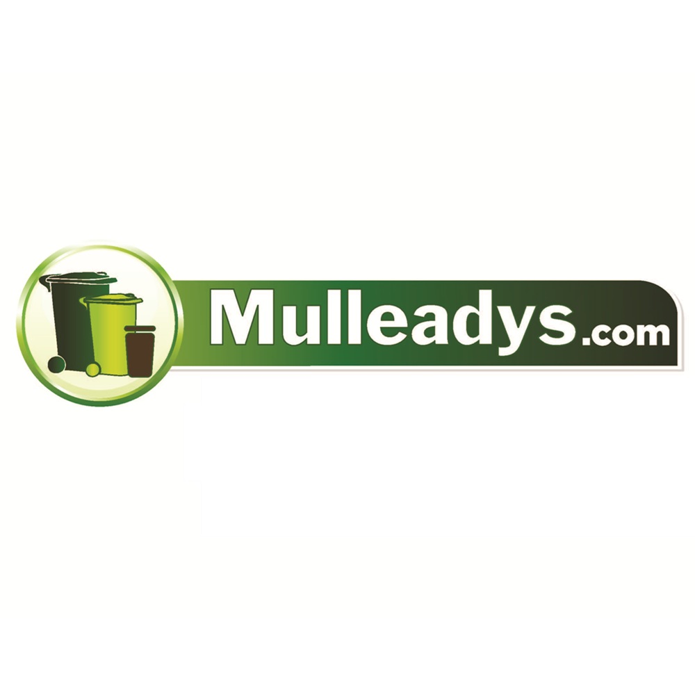 Mulleady's Waste | All Our Time Goes To Waste